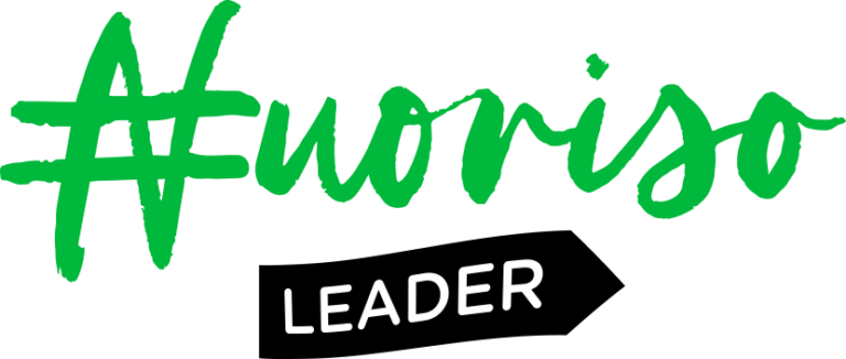 Nuoriso Leader Logo